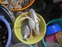 Фантхьет в марте