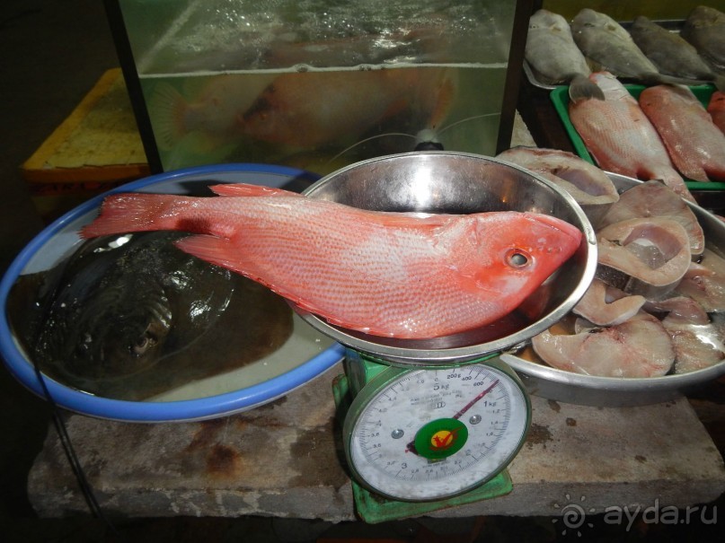 Фантхьет в марте