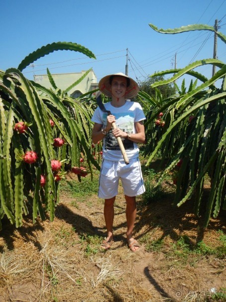 Фантхьет в марте