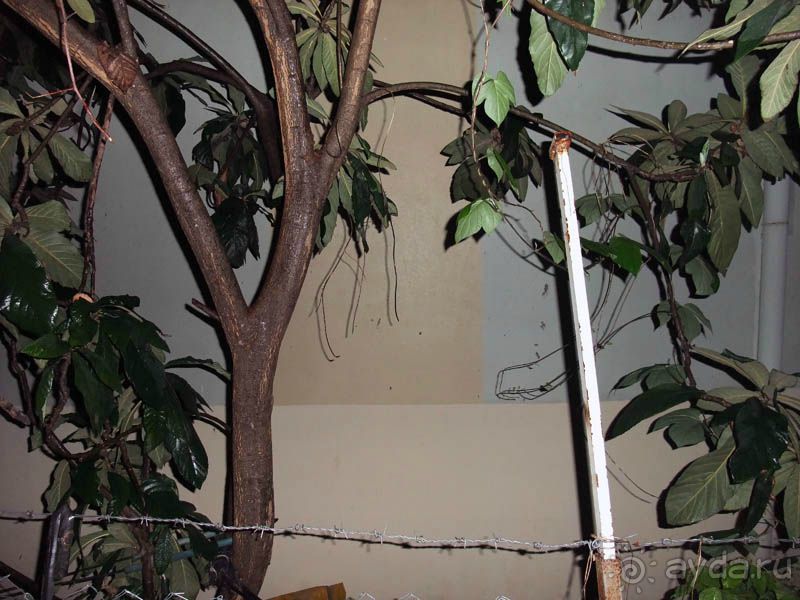 Не советую...