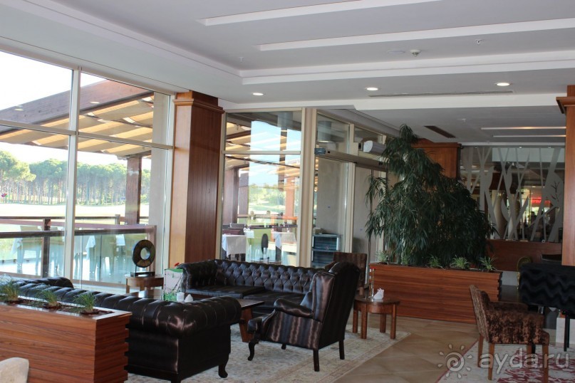 Что может быть лучше "SUENO"....