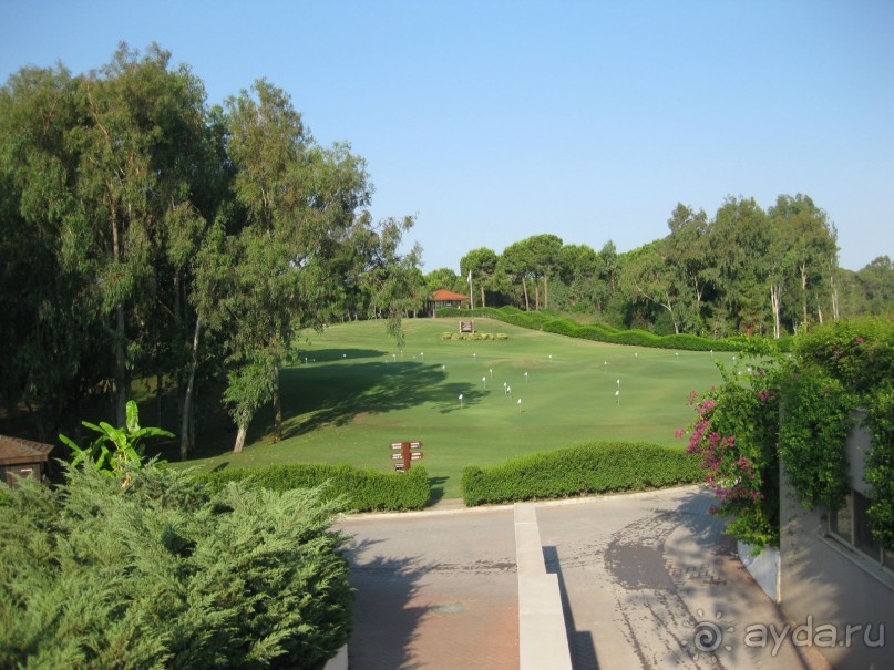 Что может быть лучше "SUENO"....