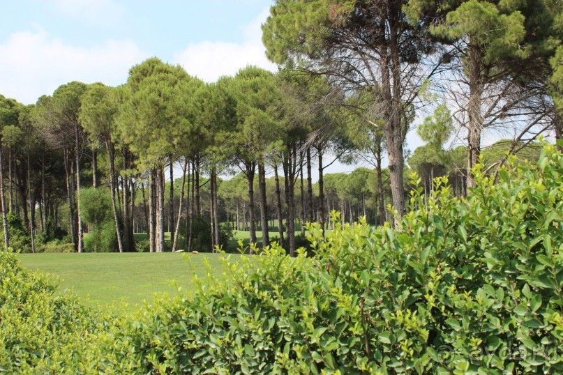 фото Sueno Hotels Golf Belek