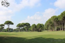 фото Sueno Hotels Golf Belek