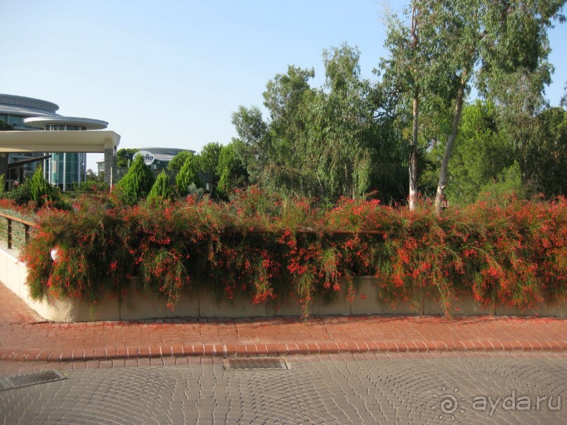 Что может быть лучше "SUENO"....