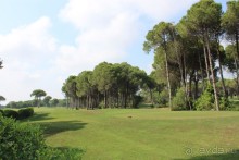 фото Sueno Hotels Golf Belek