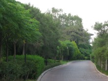 Что может быть лучше "SUENO"....