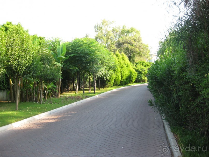 Что может быть лучше "SUENO"....