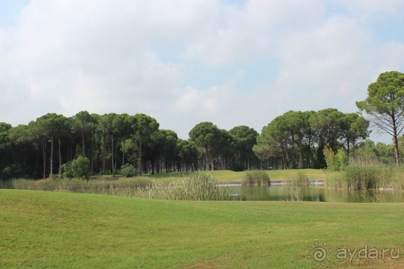 Что может быть лучше "SUENO"....