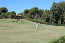 Что может быть лучше "SUENO"....