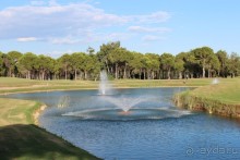 Что может быть лучше "SUENO"....