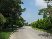 Что может быть лучше "SUENO"....