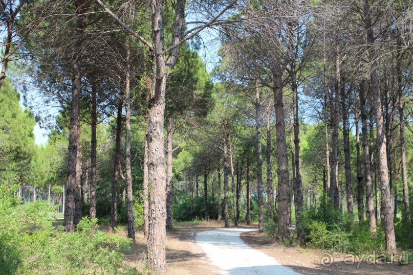 фото Sueno Hotels Golf Belek