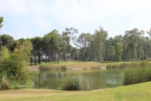 Что может быть лучше "SUENO"....