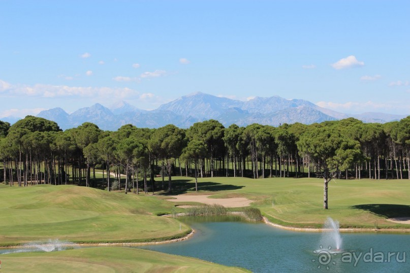 Что может быть лучше "SUENO"....