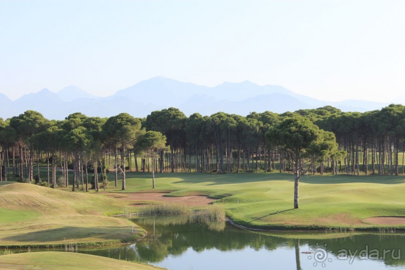 Что может быть лучше "SUENO"....