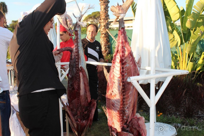 Что может быть лучше "SUENO"....