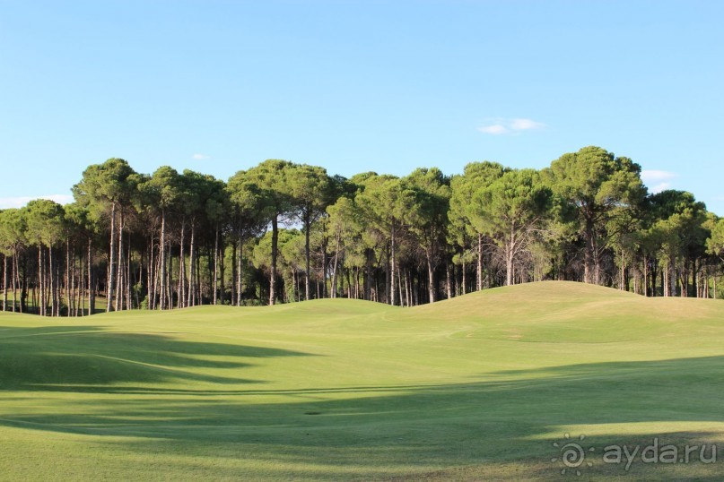 Что может быть лучше "SUENO"....