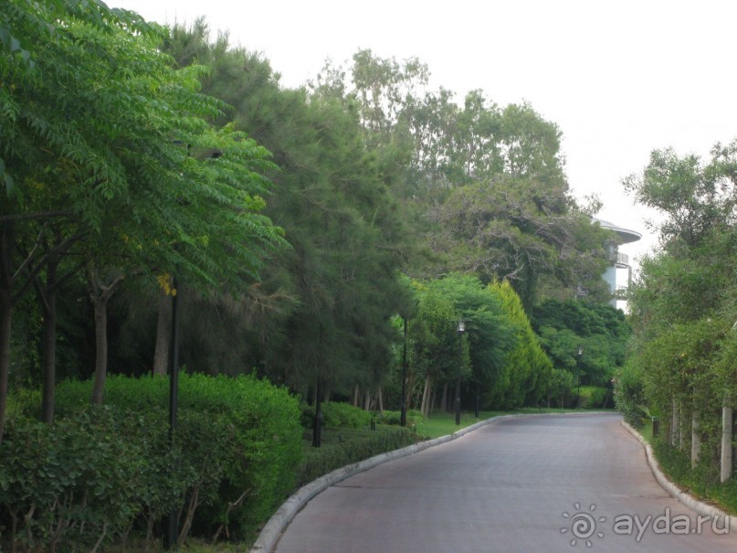 Что может быть лучше "SUENO"....