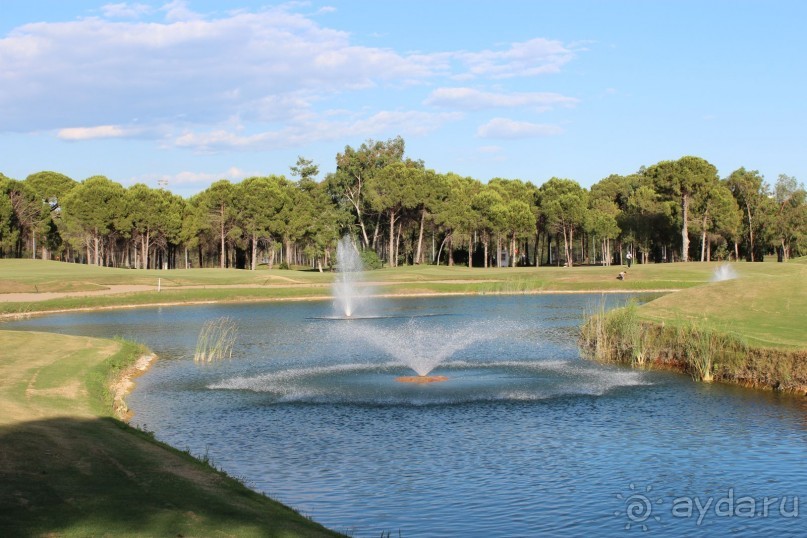 Что может быть лучше "SUENO"....