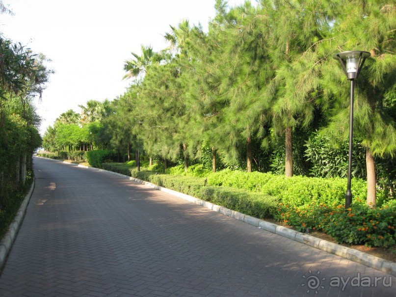 Что может быть лучше "SUENO"....