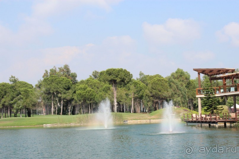 Что может быть лучше "SUENO"....