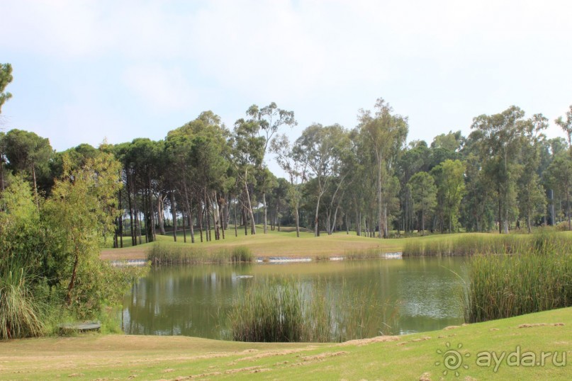 Что может быть лучше "SUENO"....