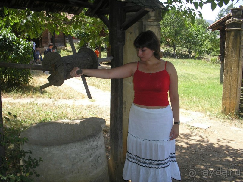 Отдых в Грузии