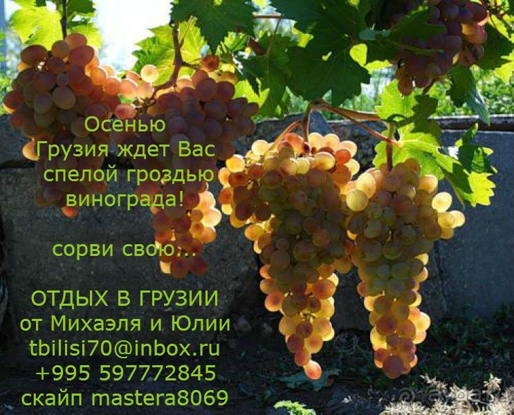 Мы и наши услуги