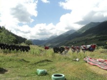 Альбом отзыва "Рафтинг в Грузии по военно-грузинской дороге"