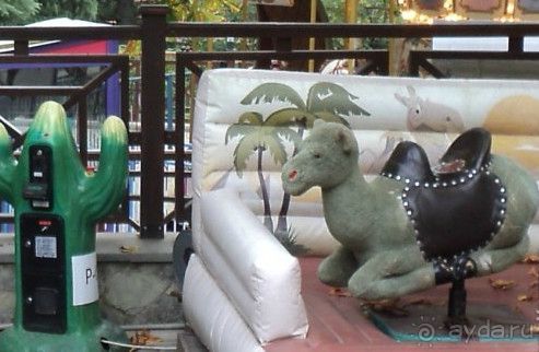 Тбилиси для детей: что, где, когда?