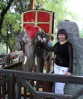 Тбилиси для детей: что, где, когда?