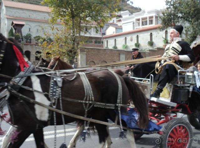 Тбилиси для детей: что, где, когда?