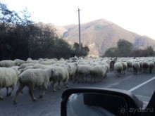 Осенью к Казбеги!