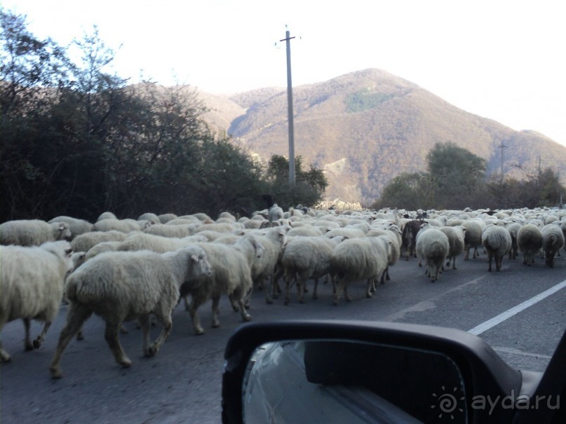 Осенью к Казбеги!