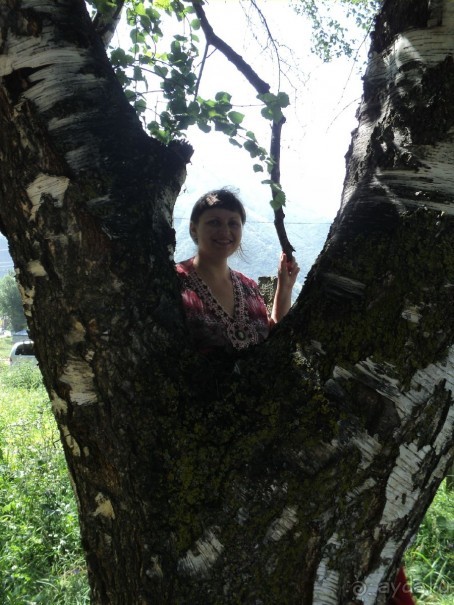 Ближе к небу (Гергети)