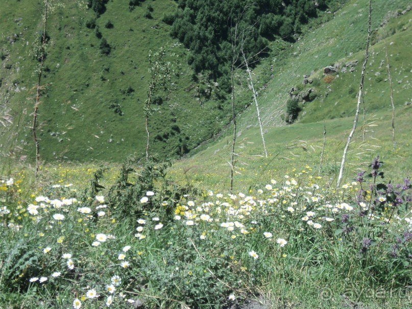 Ближе к небу (Гергети)