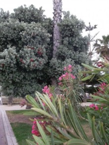 Отдых в Салоу