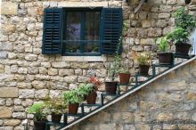 отдых в черногории zlata oliva