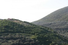 отдых в черногории zlata oliva