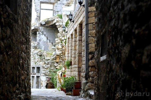 отдых в черногории zlata oliva