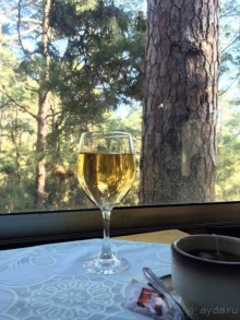 Леса Эсперанса. Тенерифе. часть 2