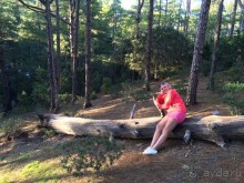 Леса Эсперанса. Тенерифе. часть 2