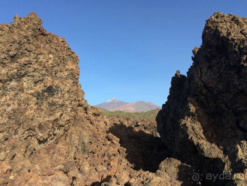 Леса Эсперанса. Тенерифе. часть 2