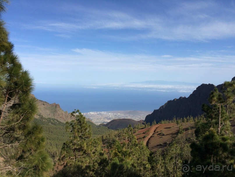 Леса Эсперанса. Тенерифе. часть 2