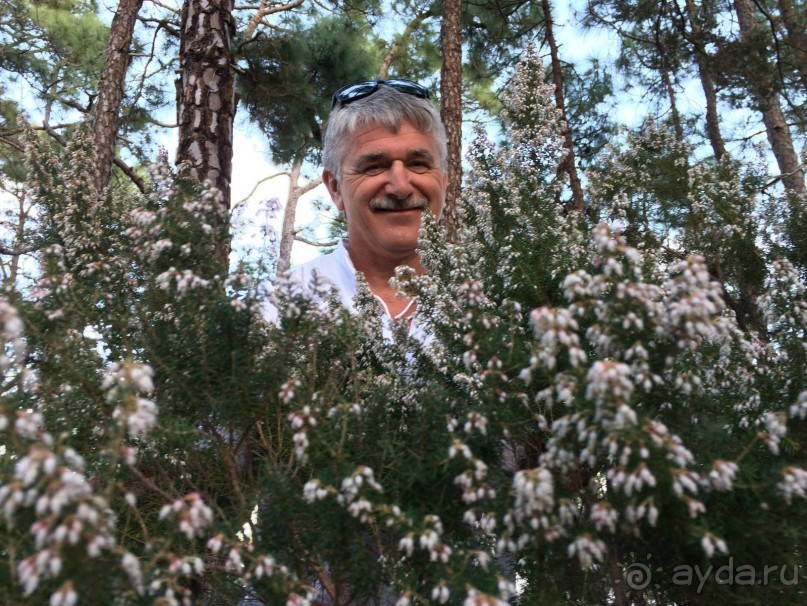 Леса Эсперанса. Тенерифе. часть 2