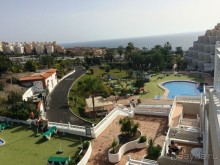 Леса Эсперанса. Тенерифе. часть 2