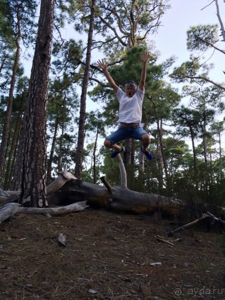 Леса Эсперанса. Тенерифе. часть 2