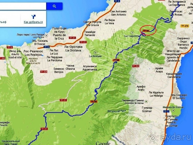 Леса Эсперанса. Тенерифе. часть 2