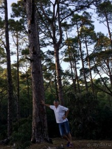 Леса Эсперанса. Тенерифе. часть 2